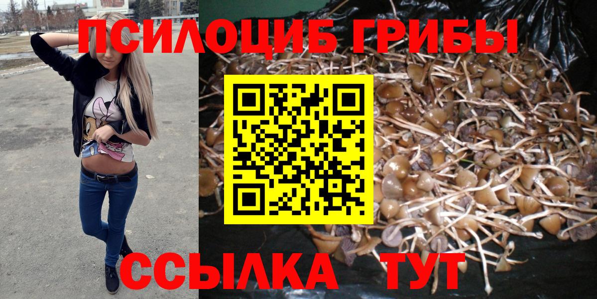 Галлюциногенные грибы Magic Shrooms Сегежа